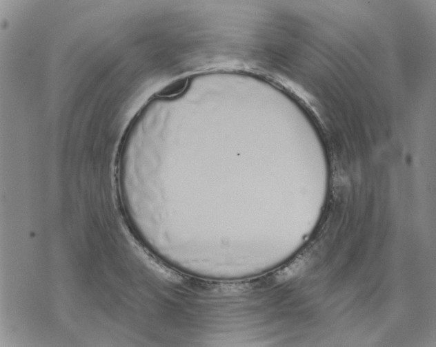 X0000071771423200607282202