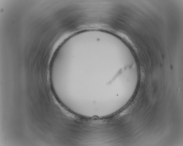 X0000071771424200607282202