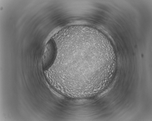 X0000071771425200607282202