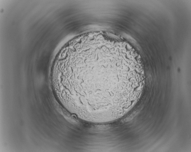 X0000071771427200607282202