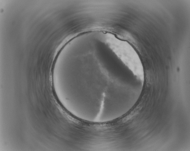 X0000071771428200607282202