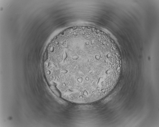 X0000071771429200607282202