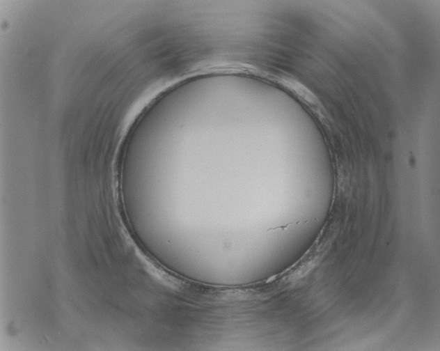 X0000071771430200607282202