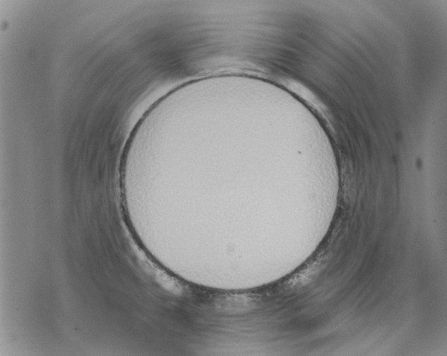 X0000071771431200607282202