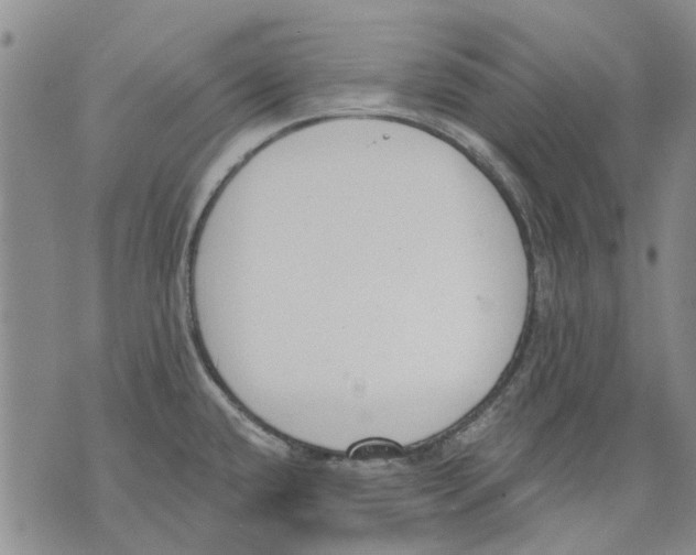 X0000071771432200607282202