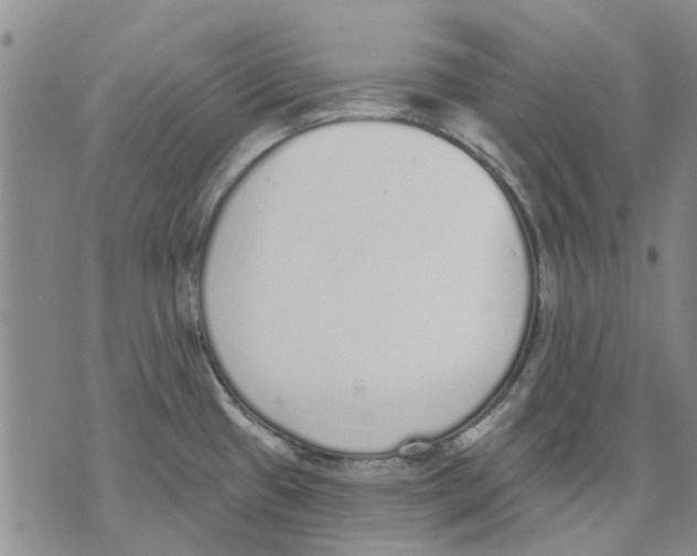 X0000071771433200607282202