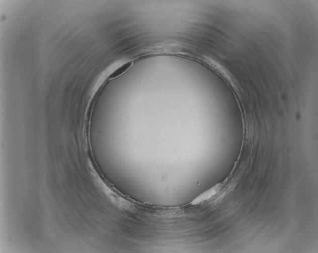 X0000071771434200607282202