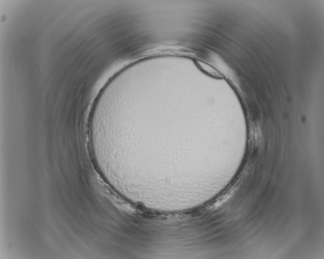 X0000071771435200607282202