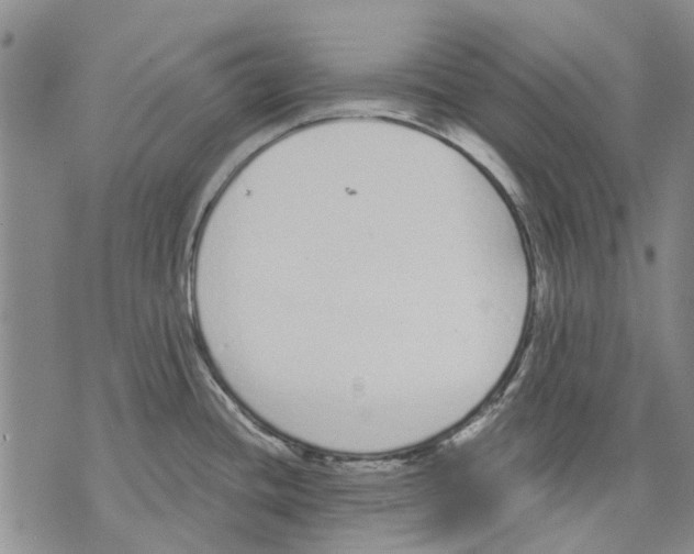 X0000071771436200607282202