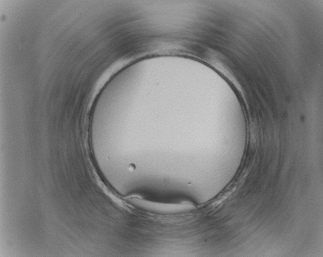 X0000071771437200607282202