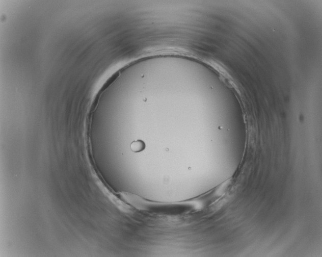 X0000071771438200607282202