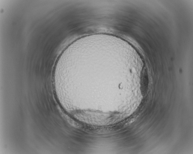 X0000071771439200607282202