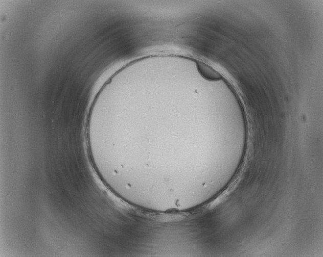 X0000071771440200607282202