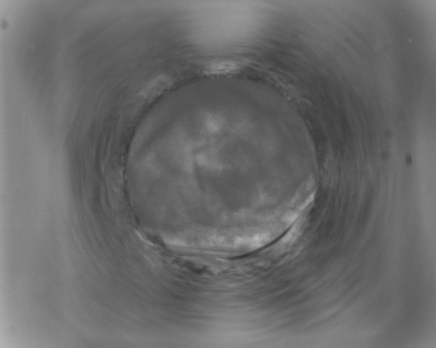 X0000071771441200607282201