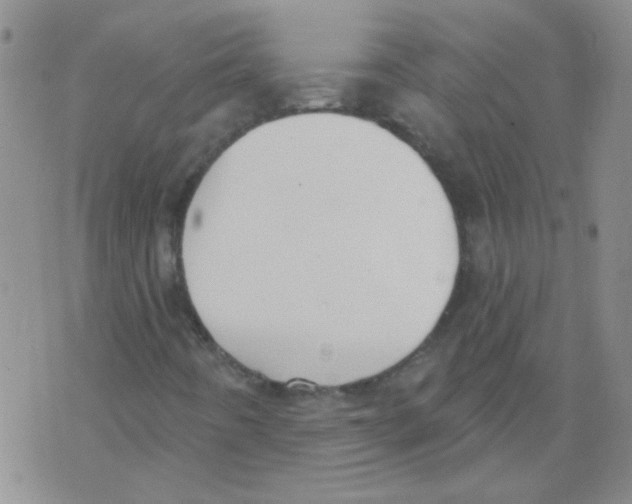 X0000071771442200607282201