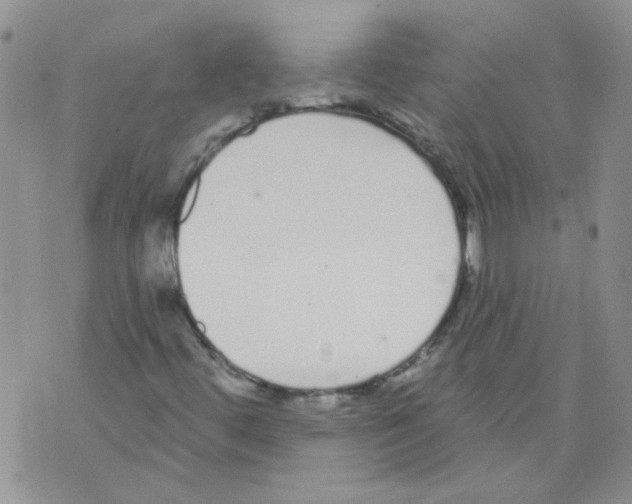 X0000071771444200607282201