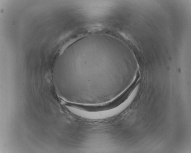 X0000071771445200607282201