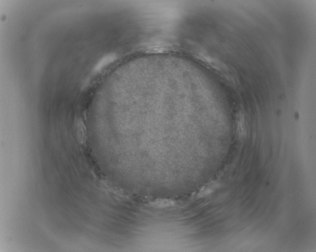 X0000071771446200607282201