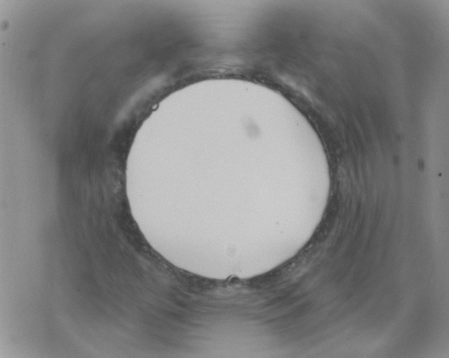 X0000071771447200607282201