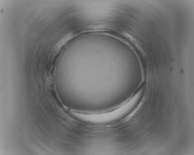 X0000071771449200607282201