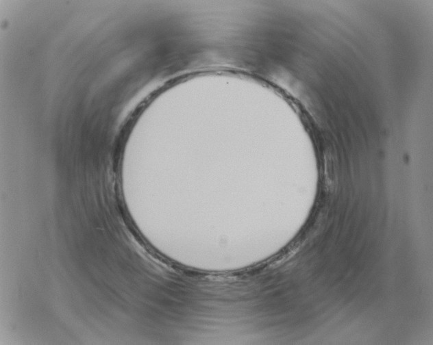 X0000071771452200607282201