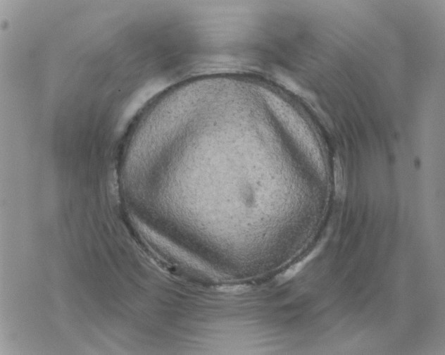 X0000071771453200607282201