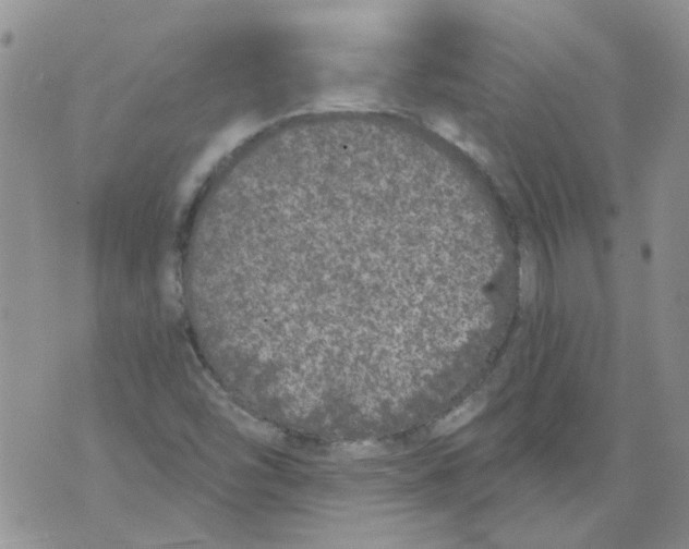 X0000071771454200607282201