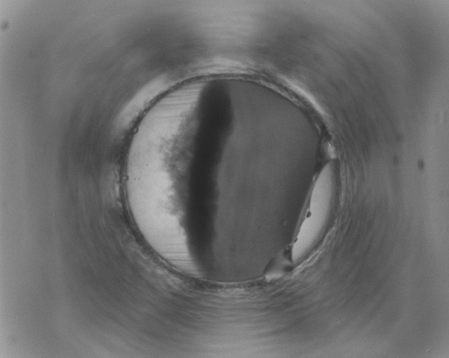 X0000071771455200607282201