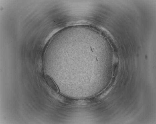 X0000071771457200607282201