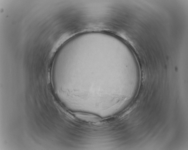 X0000071771459200607282201