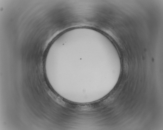 X0000071771460200607282201