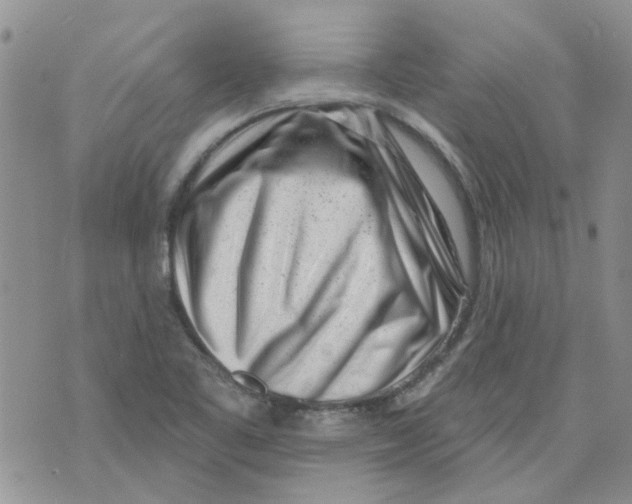 X0000071771461200607282201