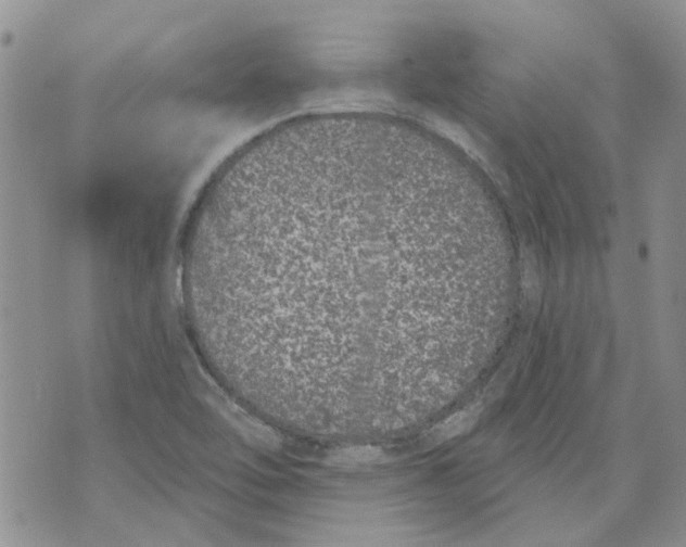 X0000071771462200607282201