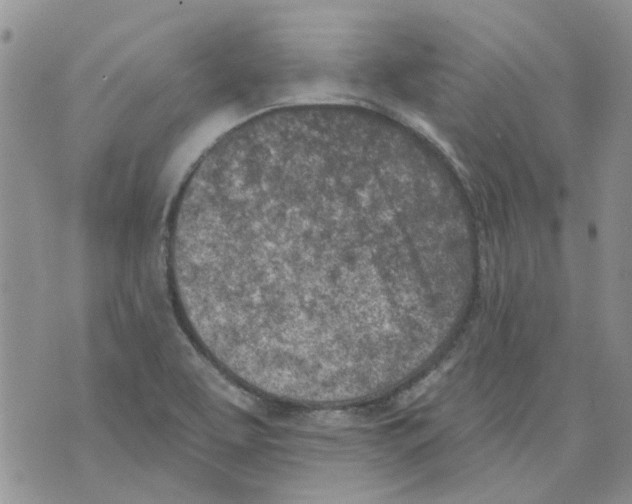 X0000071771463200607282201