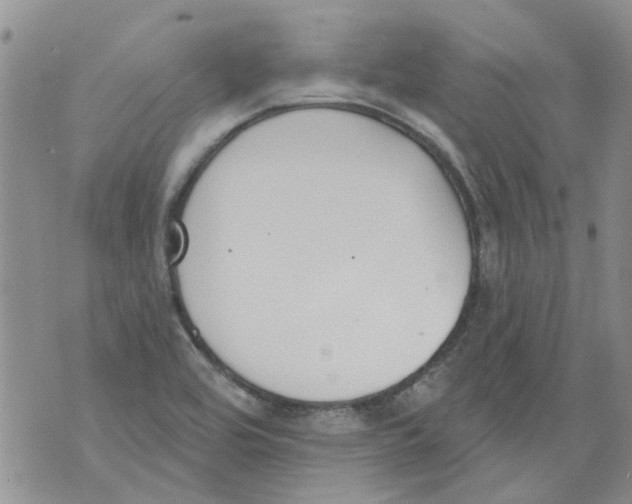 X0000071771464200607282201