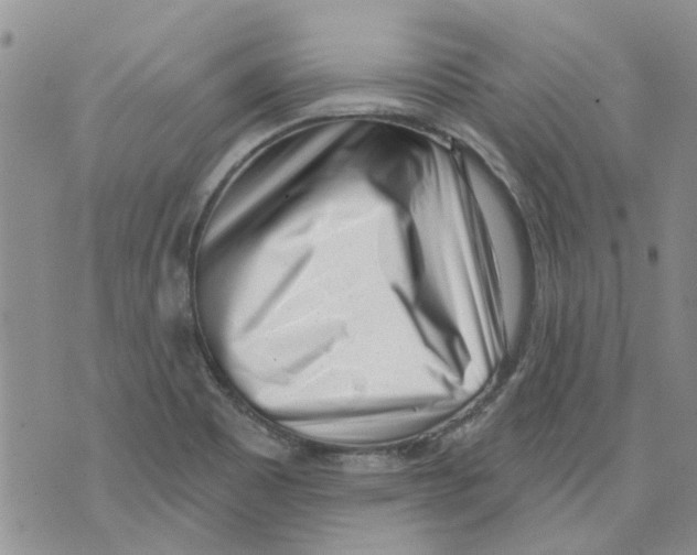 X0000071771465200607282201