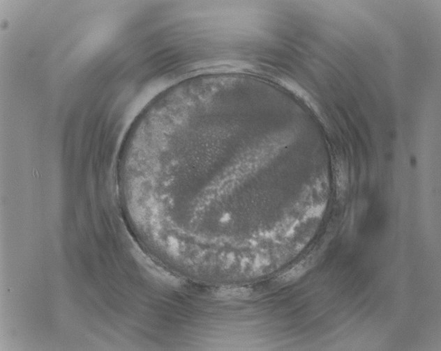 X0000071771466200607282201