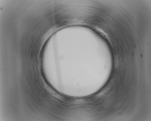 X0000071771467200607282201