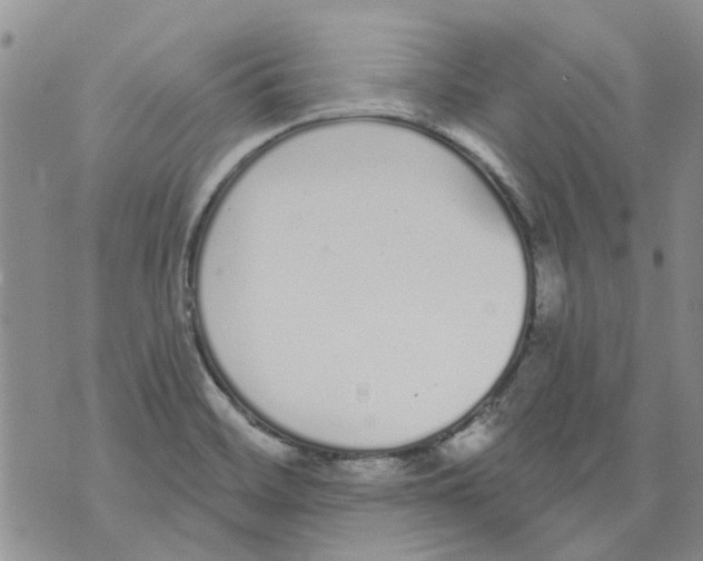 X0000071771468200607282201