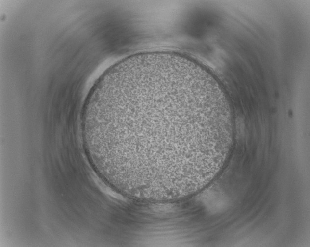 X0000071771470200607282201