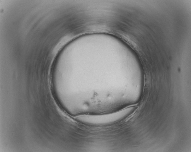 X0000071771471200607282201