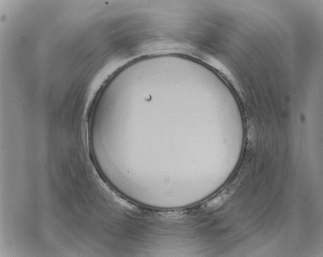 X0000071771472200607282201