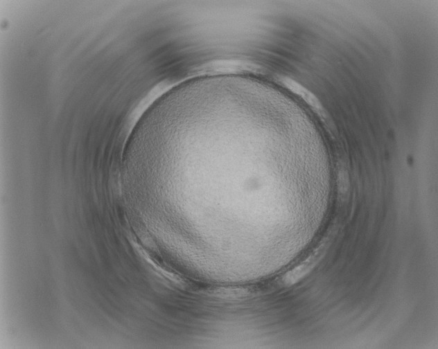 X0000071771473200607282201