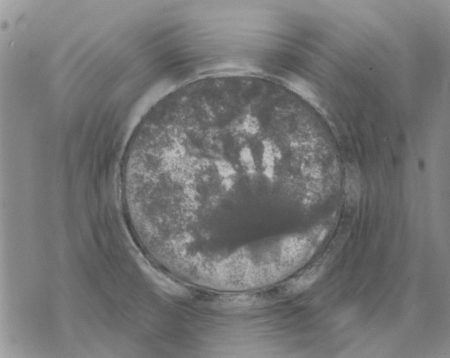 X0000071771474200607282201