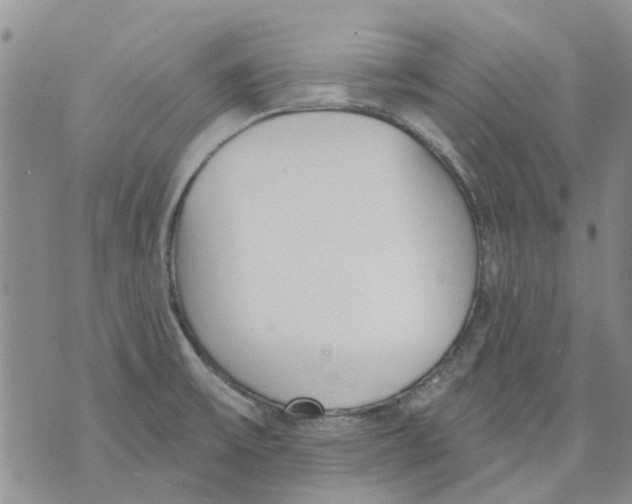 X0000071771475200607282201