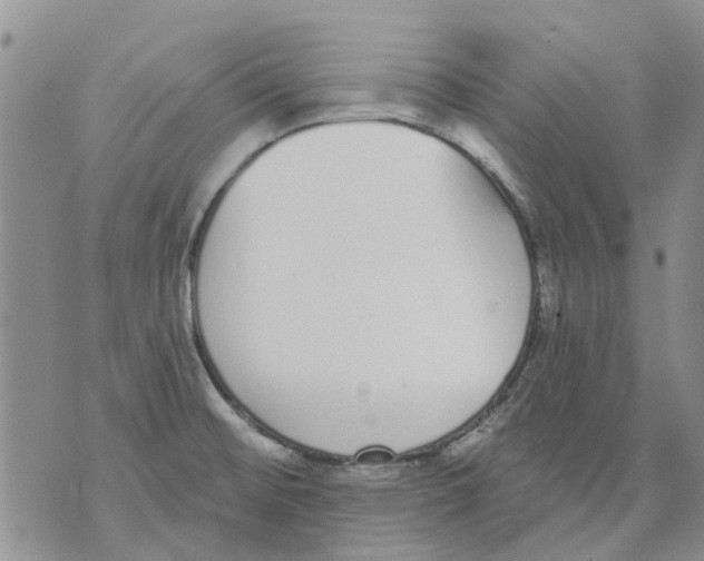 X0000071771476200607282201