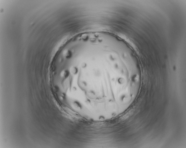 X0000071771477200607282201