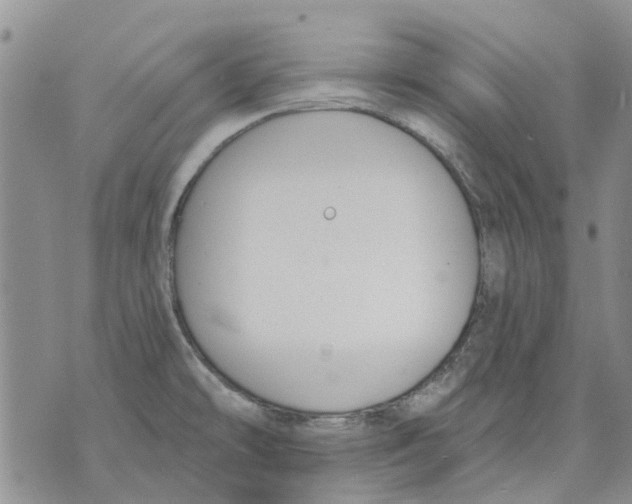 X0000071771478200607282201