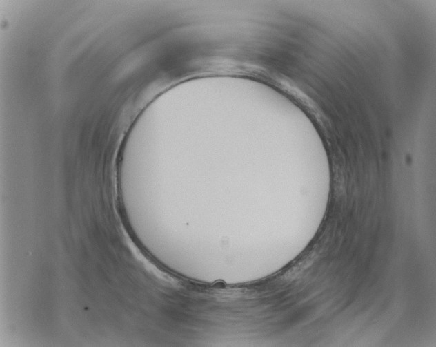 X0000071771479200607282201