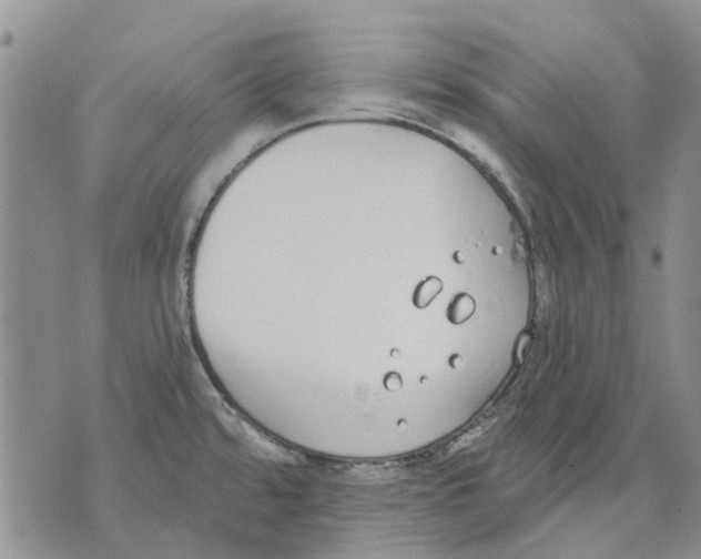 X0000071771480200607282201